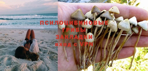 метадон Вяземский
