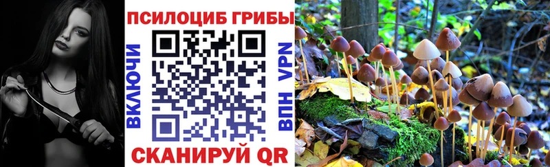 blacksprut вход  Керчь  Псилоцибиновые грибы мухоморы 